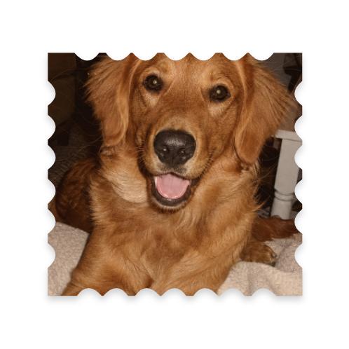Stamp Frame preview